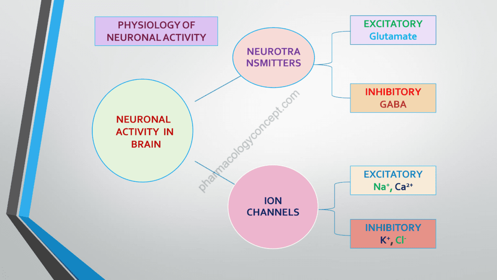 Neuronal Activity